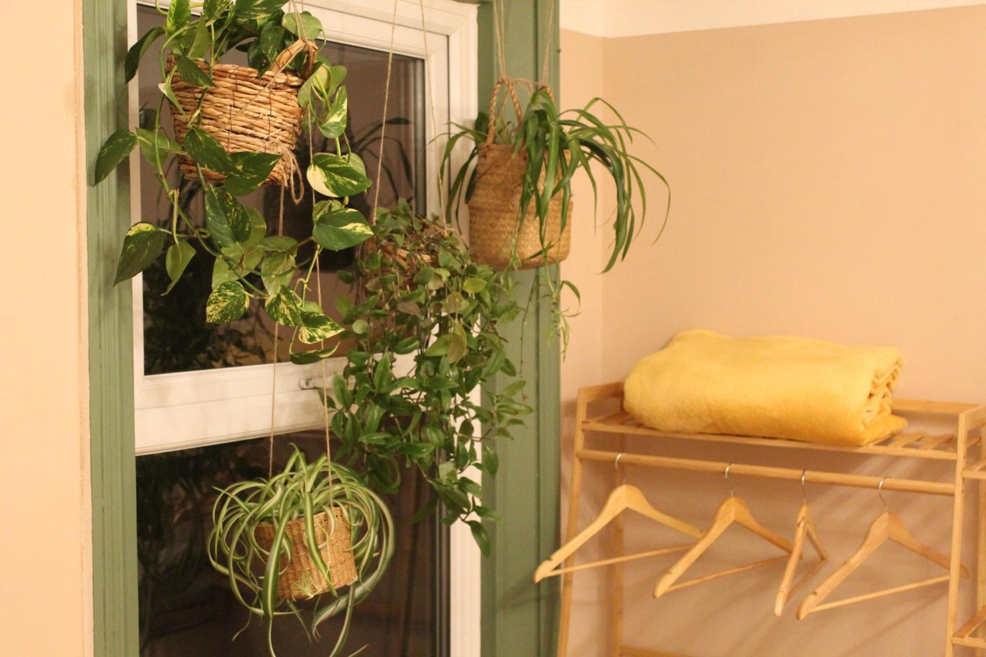 Peacehaven Retreat - 4 Minutes From The Beach! Pet Friendly! Уеймут Екстериор снимка